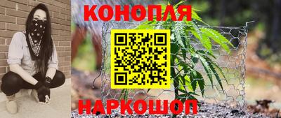 молекула духа Камышлов