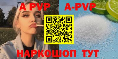 молекула духа Камышлов